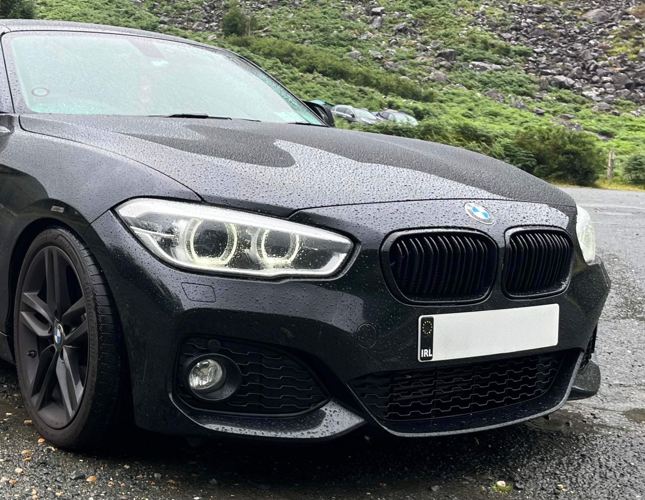 BMW 1-Series (F20/F21 LCI) Kidney Grilles - Eire Aero