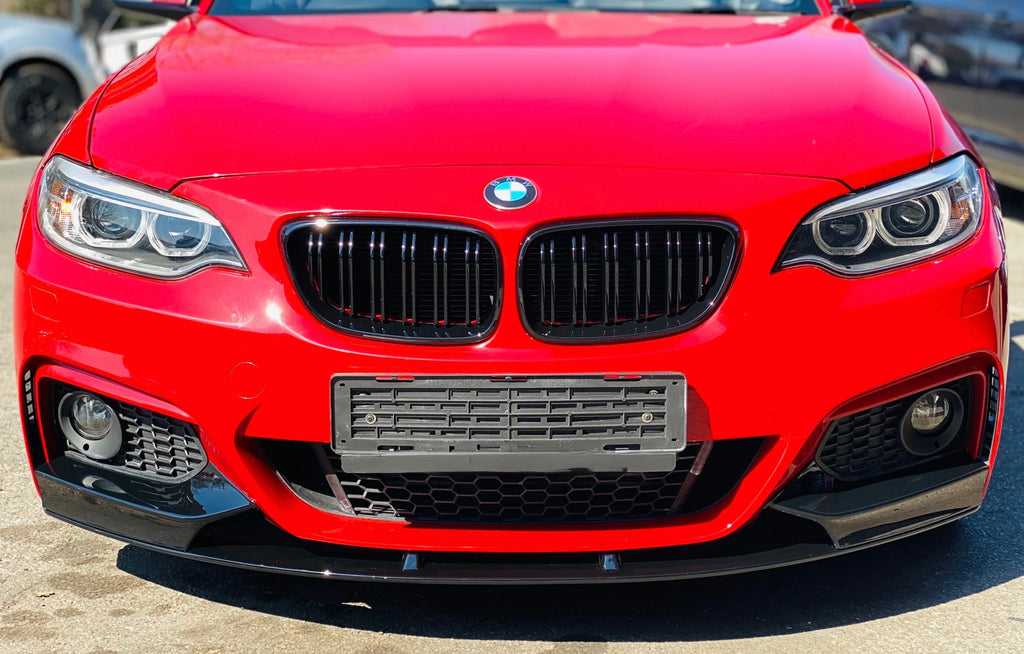 BMW 2-Series (F22/F23) Kidney Grilles - Eire Aero
